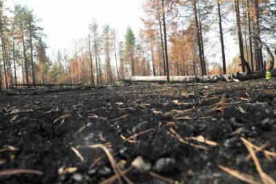 Спасатели предупредили о риске пожаров в Койгородской районе