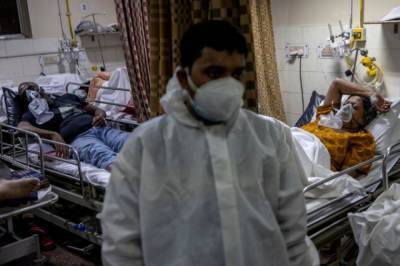 В Индии обнаружили смертельно опасный для человека вирус Нипах