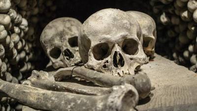 В Китае нашли череп, принадлежащий новому виду Homo sapiens