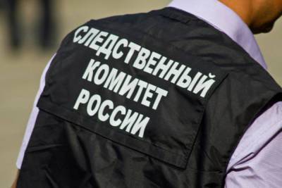 СК начал проверку по факту падения ребенка из окна на улице Качевской в Рязани