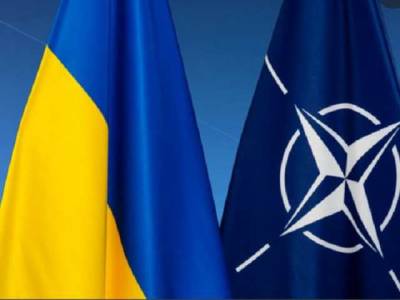 Все боятся быть с Россией в прямой войне, — немецкий дипломат о членстве Украины в НАТО