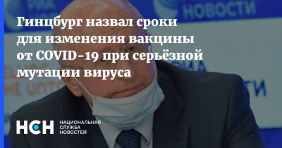 Гинцбург назвал сроки для изменения вакцины от COVID-19 при серьёзной мутации вируса