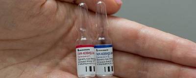 Гинцбург: изменение вакцины при появлении серьезной мутации ковида займет неделю