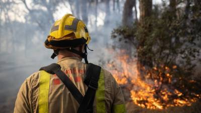 Лесной пожар тушат в районе турецкого курорта Мармарис: сообщается об одном погибшем