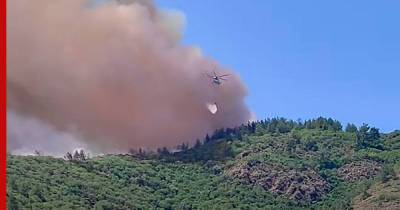 Рядом с турецким курортом вспыхнул лесной пожар
