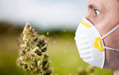 Пыльца может усиливать распространение COVID-19 – исследование