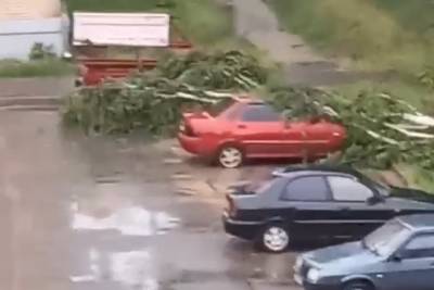 Из-за сильного ветра в Кимрах на машину упало дерево