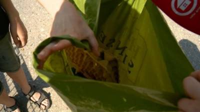 Не мусор: в Пензе волонтеры дали бытовым отходам вторую жизнь