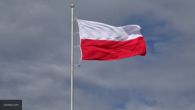 Эксперты объяснили потерю интереса Германии к Польше