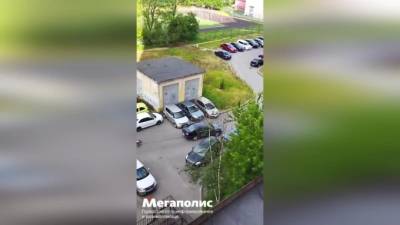 Петербурженка засняла момент кражи скамеек во дворе на Наставников: видео