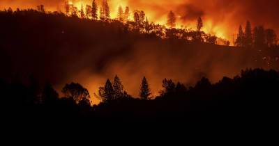 Популярный курорт в Турции охватил лесной пожар: есть погибший (ФОТО, ВИДЕО)