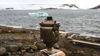 Программа «Арктический гектар» стартует с 1 августа