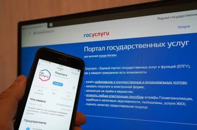 Востребованность госуслуг в Ульяновской области выросла на треть