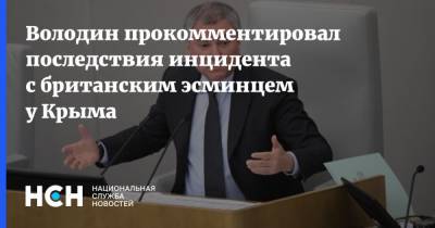 Володин прокомментировал последствия инцидента с британским эсминцем у Крыма