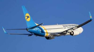 Птица застряла в двигателе: рейс МАУ завернули в харьковский аэропорт