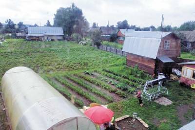 Ученые создали специальный гель для полива огорода