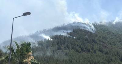 Возле популярного курорта в Турции начался лесной пожар, погиб спасатель (видео)