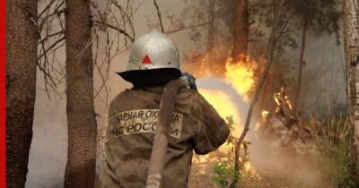 В Подмосковье горит лес рядом с детским санаторием