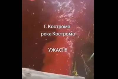 В реку Кострому сливают «кровавые» стоки