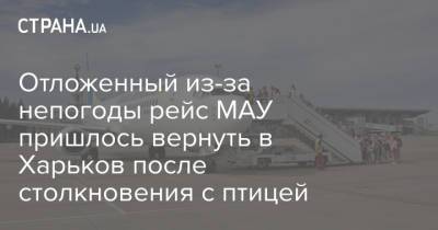 Отложенный из-за непогоды рейс МАУ пришлось вернуть в Харьков после столкновения с птицей