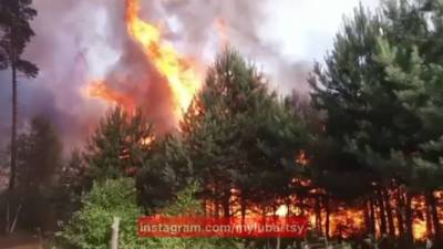Видео из Сети. Пожар в Родниках: огонь охватил 7 гектаров леса