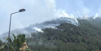 Возле популярного курорта в Турции начался лесной пожар, погиб спасатель