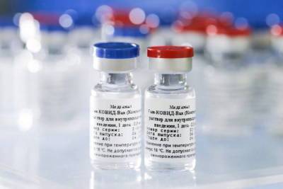 Гинцбург заявил, что изменить вакцину от коронавируса из-за мутации можно за неделю
