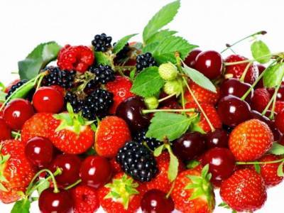 О самых полезных летних ягодах рассказала диетолог