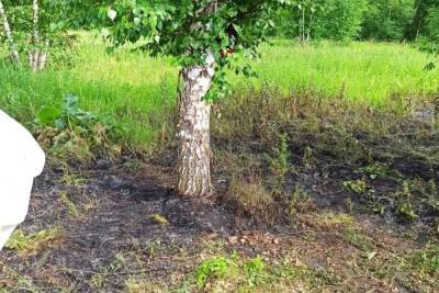 Молния убила женщину в башкирском лесу