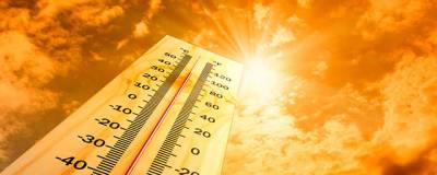 В Пермском крае в конце июня ожидается 35-градусная жара