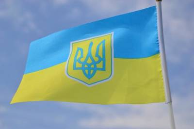 Сегодня празднуют День Конституции Украины