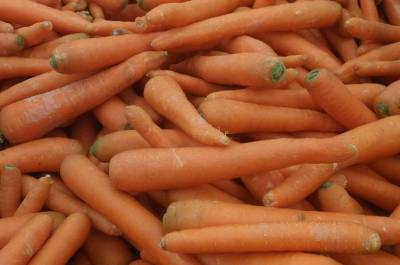 Власти Башкирии назвали причины скачка цен на морковь