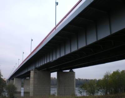 Прыгнувший с Ладожского моста мужчина сломал колено
