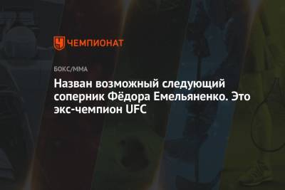 Назван возможный следующий соперник Фёдора Емельяненко. Это экс-чемпион UFC