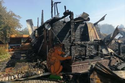 В Ярославской области сгорел музей ежей