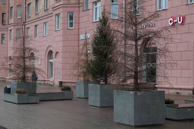 Власти Челябинска рассказали, когда заменят засохшие деревья и кустарники