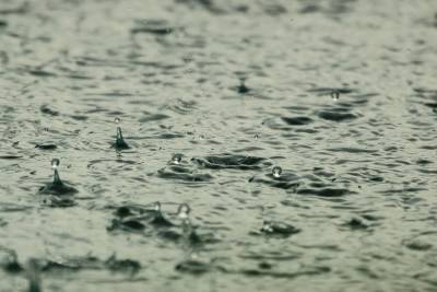 Жителей Ленобласти предупредили о дождях и грозах