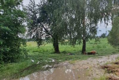 В Черкасской области молния попала в троих человек, двое погибли