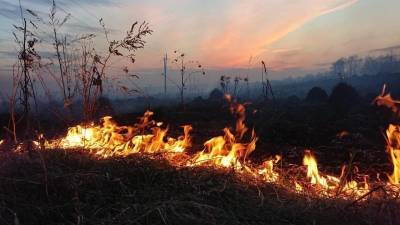 Ульяновские пожарные за сутки выезжали на тушение сухой травы два раза