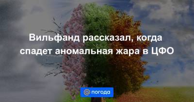 Вильфанд рассказал, когда спадет аномальная жара в ЦФО