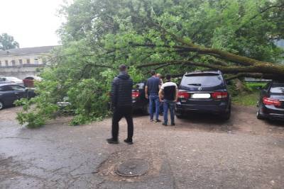 Фотофакт: дерево рухнуло на легковые машины возле псковского вокзала