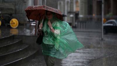 Москвичей предупредили о шквалистом ветре и грозе 28 июня