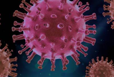 Число подтвержденных случаев коронавируса в Сосновом Бору достигло 7 323