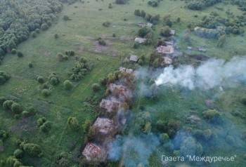 Пожар почти полностью уничтожил деревню в Вологодской области