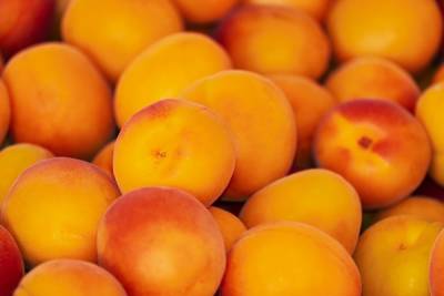 Опасный вредитель найден в абрикосах из Таджикистана
