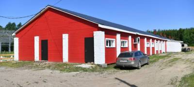 Владелец сыроварни в Карелии решил построить молочную ферму с гостиницей и позвать туристов