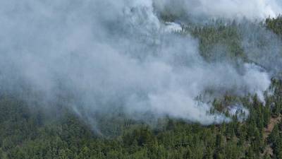 В России за сутки потушили 91 природный пожар