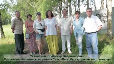Владимир Путин - Защитники Муринского парка записали видеообращение к президенту - piter.tv - Россия - район Калининский