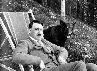 Почему Гитлер, за жестокое обращение с животными, сажал в концлагерь
