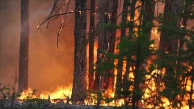 Новости на "России 24". Плюс 35 градусов и грозы: якутские леса охвачены огнем